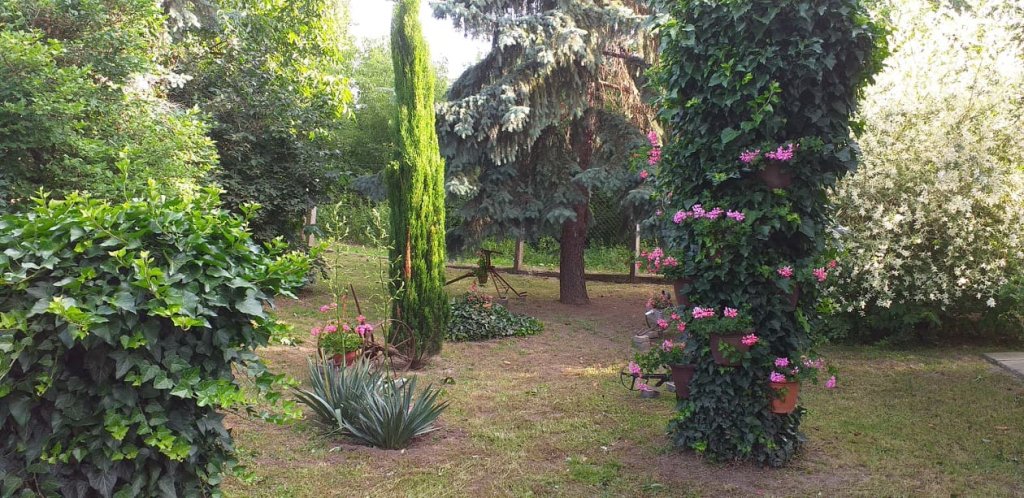 Benéné Szabó Henriett kertje 04